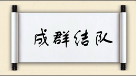 成群结队对对子图片