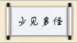 少见多怪对对子图片