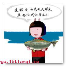 三日打鱼，两日晒网的故事图片
