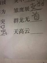 有条有理的故事图片