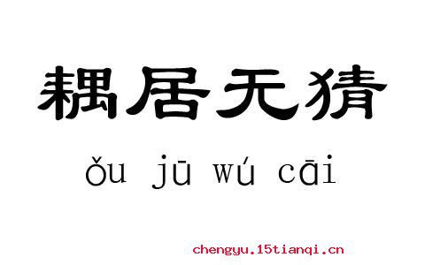 二五耦的故事图片